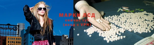 гидра Алексеевка
